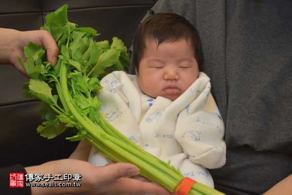 剃胎毛、滿月剃頭、嬰兒剃頭、嬰兒理髮、嬰兒剃髮、嬰兒剃胎毛、嬰兒滿月剃頭、寶寶剃頭、剃胎毛儀式、剃胎毛吉祥話、滿月剃頭儀式、滿月剃頭吉祥話、寶寶剃胎毛、寶寶滿月剃頭理髮、 新北中和區剃胎毛、新北中和區滿月剃頭、 新北中和區嬰兒剃頭剃胎毛、新北中和區嬰兒理髮、新北中和區嬰兒剃髮、游寶寶(新北中和區到府嬰兒寶寶滿月剃頭理髮、免費到府嬰兒剃胎毛儀式吉祥話)。到府剃頭剃胎毛主持、專業拍照、DVD光碟、證書。★購買「臍帶章、肚臍章、胎毛筆刷印章」贈送：剃頭、收涎、抓周，三選一。2017.02.05  照片11