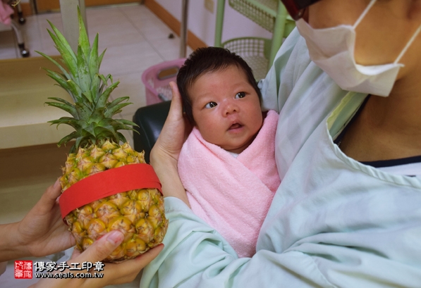 剃胎毛、滿月剃頭、嬰兒剃頭、嬰兒理髮、嬰兒剃髮、嬰兒剃胎毛、嬰兒滿月剃頭、寶寶剃頭、剃胎毛儀式、剃胎毛吉祥話、滿月剃頭儀式、滿月剃頭吉祥話、寶寶剃胎毛、寶寶滿月剃頭理髮、 台中北區剃胎毛、台中北區滿月剃頭、 台中北區嬰兒剃頭剃胎毛、台中北區嬰兒理髮、台中北區嬰兒剃髮、陳寶寶(台中北區到府嬰兒寶寶滿月剃頭理髮、免費到府嬰兒剃胎毛儀式吉祥話)。到府剃頭剃胎毛主持、專業拍照、DVD光碟、證書。★購買「臍帶章、肚臍章、胎毛筆刷印章」贈送：剃頭、收涎、抓周，三選一。2016.05.14  照片12