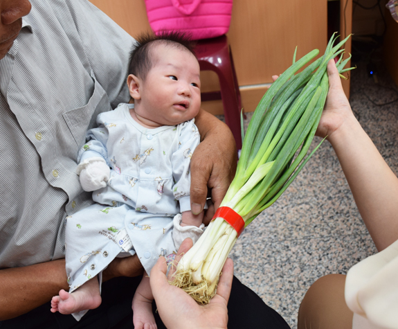 施寶寶(台中北區嬰兒寶寶滿月剃頭理髮、免費嬰兒剃胎毛儀式吉祥話)。中國風會場，爸媽寶貝免費穿「日中韓」古裝禮服。專業拍照、DVD光碟、證書。★購買「臍帶章、肚臍章、胎毛筆刷印章」贈送：剃頭、收涎、抓周，三選一。 2015.06.18 照片9