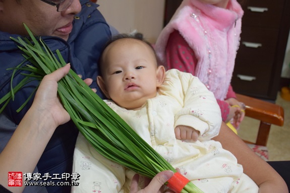 剃胎毛、滿月剃頭、嬰兒剃頭、嬰兒理髮、嬰兒剃髮、嬰兒剃胎毛、嬰兒滿月剃頭、寶寶剃頭、剃胎毛儀式、剃胎毛吉祥話、滿月剃頭儀式、滿月剃頭吉祥話、寶寶剃胎毛、寶寶滿月剃頭理髮、 新北土城區剃胎毛、新北土城區滿月剃頭、 新北土城區嬰兒剃頭剃胎毛、新北土城區嬰兒理髮、新北土城區嬰兒剃髮、巫寶寶(新北土城區到府嬰兒寶寶滿月剃頭理髮、免費到府嬰兒剃胎毛儀式吉祥話)。到府剃頭剃胎毛主持、專業拍照、DVD光碟、證書。★購買「臍帶章、肚臍章、胎毛筆刷印章」贈送：剃頭、收涎、抓周，三選一。2016.12.17  照片11