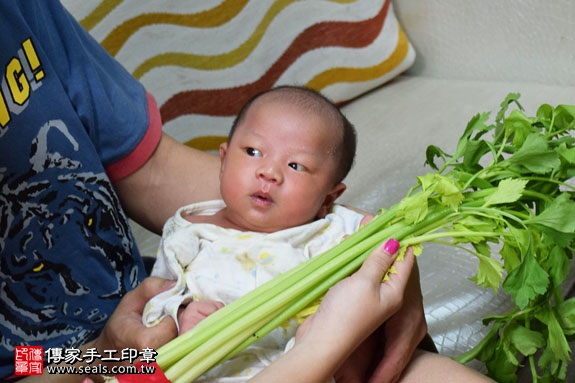 剃胎毛、滿月剃頭、嬰兒剃頭、嬰兒理髮、嬰兒剃髮、嬰兒剃胎毛、嬰兒滿月剃頭、寶寶剃頭、剃胎毛儀式、剃胎毛吉祥話、滿月剃頭儀式、滿月剃頭吉祥話、寶寶剃胎毛、寶寶滿月剃頭理髮、 新竹香山區剃胎毛、新竹香山區滿月剃頭、 新竹香山區嬰兒剃頭剃胎毛、新竹香山區嬰兒理髮、新竹香山區嬰兒剃髮、楊寶寶(新竹香山區到府嬰兒寶寶滿月剃頭理髮、免費到府嬰兒剃胎毛儀式吉祥話)。到府剃頭剃胎毛主持、專業拍照、DVD光碟、證書。★購買「臍帶章、肚臍章、胎毛筆刷印章」贈送：剃頭、收涎、抓周，三選一。2017.04.30  照片10