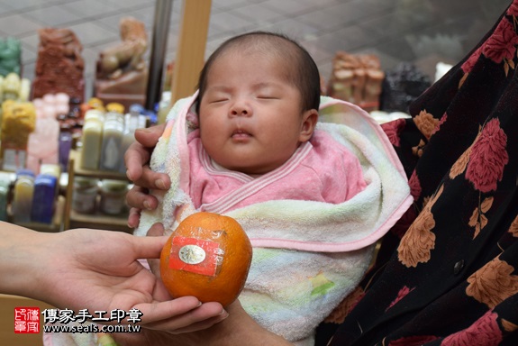 剃胎毛、滿月剃頭、嬰兒剃頭、嬰兒理髮、嬰兒剃髮、嬰兒剃胎毛、嬰兒滿月剃頭、寶寶剃頭、剃胎毛儀式、剃胎毛吉祥話、滿月剃頭儀式、滿月剃頭吉祥話、寶寶剃胎毛、寶寶滿月剃頭理髮、 新北市永和地區剃胎毛、新北市永和地區滿月剃頭、新北市永和地區嬰兒剃頭剃胎毛、新北市永和地區嬰兒理髮、新北市嬰兒剃髮、邱寶寶(新北永和區嬰兒寶寶滿月剃頭理髮、免費嬰兒剃胎毛儀式吉祥話)。中國風會場，爸媽寶貝免費穿「日中韓」古裝禮服。專業拍照、DVD光碟、證書。★購買「臍帶章、肚臍章、胎毛筆刷印章」贈送：剃頭、收涎、抓周，三選一。2017.11.02照片8