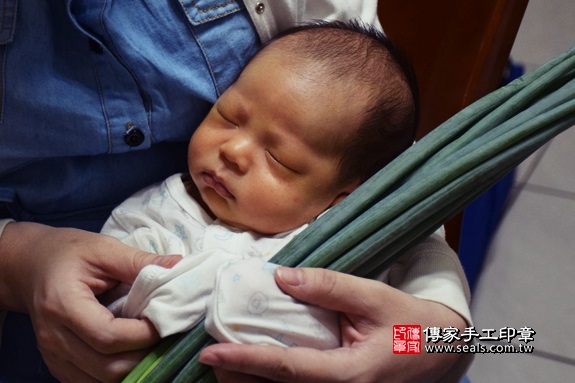 剃胎毛、滿月剃頭、嬰兒剃頭、嬰兒理髮、嬰兒剃髮、嬰兒剃胎毛、嬰兒滿月剃頭、寶寶剃頭、剃胎毛儀式、剃胎毛吉祥話、滿月剃頭儀式、滿月剃頭吉祥話、寶寶剃胎毛、寶寶滿月剃頭理髮、 彰化縣大村地區剃胎毛、彰化縣大村地區滿月剃頭、彰化縣大村地區嬰兒剃頭剃胎毛、彰化縣大村地區嬰兒理髮、彰化縣嬰兒剃髮、張寶寶(彰化大村區到府嬰兒寶寶滿月剃頭理髮、免費到府嬰兒剃胎毛儀式吉祥話)。到府剃頭剃胎毛主持、專業拍照、DVD光碟、證書。★購買「臍帶章、肚臍章、胎毛筆刷印章」贈送：剃頭、收涎、抓周，三選一。2017.09.11照片12
