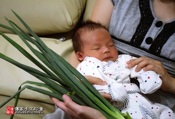 剃胎毛、滿月剃頭、嬰兒剃頭、嬰兒理髮、嬰兒剃髮、嬰兒剃胎毛、嬰兒滿月剃頭、寶寶剃頭、剃胎毛儀式、剃胎毛吉祥話、滿月剃頭儀式、滿月剃頭吉祥話、寶寶剃胎毛、寶寶滿月剃頭理髮、 新北永和區剃胎毛、新北永和區滿月剃頭、 新北永和區嬰兒剃頭剃胎毛、新北永和區嬰兒理髮、新北永和區嬰兒剃髮、曾寶寶(新北永和區到府嬰兒寶寶滿月剃頭理髮、免費到府嬰兒剃胎毛儀式吉祥話)。到府剃頭剃胎毛主持、專業拍照、DVD光碟、證書。★購買「臍帶章、肚臍章、胎毛筆刷印章」贈送：剃頭、收涎、抓周，三選一。2016.05.15  照片11