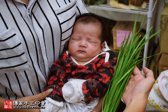 剃胎毛、滿月剃頭、嬰兒剃頭、嬰兒理髮、嬰兒剃髮、嬰兒剃胎毛、嬰兒滿月剃頭、寶寶剃頭、剃胎毛儀式、剃胎毛吉祥話、滿月剃頭儀式、滿月剃頭吉祥話、寶寶剃胎毛、寶寶滿月剃頭理髮、新北永和區剃胎毛、新北永和區滿月剃頭、新北永和區嬰兒剃頭剃胎毛、新北永和區嬰兒理髮、新北永和區嬰兒剃髮、鄧寶寶(新北永和區嬰兒寶寶滿月剃頭理髮、免費嬰兒剃胎毛儀式吉祥話)。中國風會場，爸媽寶貝免費穿「日中韓」古裝禮服。專業拍照、DVD光碟、證書。★購買「臍帶章、肚臍章、胎毛筆刷印章」贈送：剃頭、收涎、抓周，三選一。2016.09.28 照片10