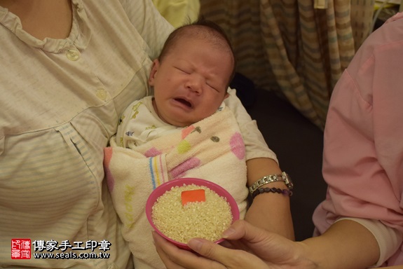 剃胎毛、滿月剃頭、嬰兒剃頭、嬰兒理髮、嬰兒剃髮、嬰兒剃胎毛、嬰兒滿月剃頭、寶寶剃頭、剃胎毛儀式、剃胎毛吉祥話、滿月剃頭儀式、滿月剃頭吉祥話、寶寶剃胎毛、寶寶滿月剃頭理髮、 新北市板橋地區剃胎毛、新北市板橋地區滿月剃頭、新北市板橋地區嬰兒剃頭剃胎毛、新北市板橋地區嬰兒理髮、新北市嬰兒剃髮、連寶寶(新北板橋區到府嬰兒寶寶滿月剃頭理髮、免費到府嬰兒剃胎毛儀式吉祥話)。到府剃頭剃胎毛主持、專業拍照、DVD光碟、證書。★購買「臍帶章、肚臍章、胎毛筆刷印章」贈送：剃頭、收涎、抓周，三選一。2017.11.21照片6