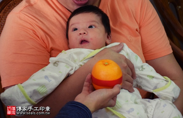 剃胎毛、滿月剃頭、嬰兒剃頭、嬰兒理髮、嬰兒剃髮、嬰兒剃胎毛、嬰兒滿月剃頭、寶寶剃頭、剃胎毛儀式、剃胎毛吉祥話、滿月剃頭儀式、滿月剃頭吉祥話、寶寶剃胎毛、寶寶滿月剃頭理髮、 新北三峽區剃胎毛、新北三峽區滿月剃頭、 新北三峽區嬰兒剃頭剃胎毛、新北三峽區嬰兒理髮、新北三峽區嬰兒剃髮、羅寶寶(新北三峽區到府嬰兒寶寶滿月剃頭理髮、免費到府嬰兒剃胎毛儀式吉祥話)。到府剃頭剃胎毛主持、專業拍照、DVD光碟、證書。★購買「臍帶章、肚臍章、胎毛筆刷印章」贈送：剃頭、收涎、抓周，三選一。2017.04.24  照片9