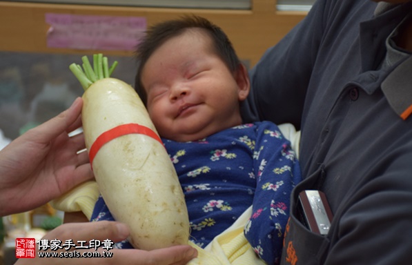 剃胎毛、滿月剃頭、嬰兒剃頭、嬰兒理髮、嬰兒剃髮、嬰兒剃胎毛、嬰兒滿月剃頭、寶寶剃頭、剃胎毛儀式、剃胎毛吉祥話、滿月剃頭儀式、滿月剃頭吉祥話、寶寶剃胎毛、寶寶滿月剃頭理髮、新北永和區剃胎毛、新北永和區滿月剃頭、新北永和區嬰兒剃頭剃胎毛、新北永和區嬰兒理髮、新北永和區嬰兒剃髮、王寶寶(新北永和區嬰兒寶寶滿月剃頭理髮、免費嬰兒剃胎毛儀式吉祥話)。中國風會場，爸媽寶貝免費穿「日中韓」古裝禮服。專業拍照、DVD光碟、證書。★購買「臍帶章、肚臍章、胎毛筆刷印章」贈送：剃頭、收涎、抓周，三選一。2017.04.24 照片13