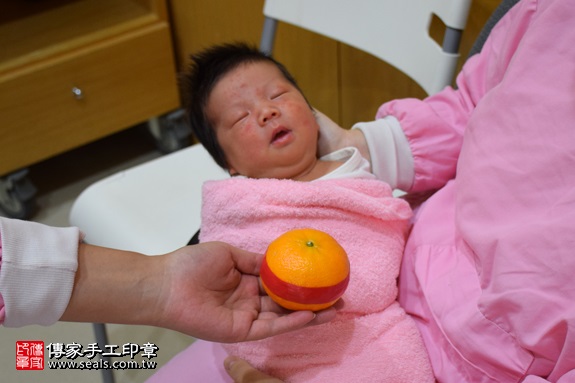 剃胎毛、滿月剃頭、嬰兒剃頭、嬰兒理髮、嬰兒剃髮、嬰兒剃胎毛、嬰兒滿月剃頭、寶寶剃頭、剃胎毛儀式、剃胎毛吉祥話、滿月剃頭儀式、滿月剃頭吉祥話、寶寶剃胎毛、寶寶滿月剃頭理髮、 新北市中和地區剃胎毛、新北市中和地區滿月剃頭、新北市中和地區嬰兒剃頭剃胎毛、新北市中和地區嬰兒理髮、新北市嬰兒剃髮、潘寶寶(新北中和區府嬰兒寶寶滿月剃頭理髮、免費到府嬰兒剃胎毛儀式吉祥話)。到府剃頭剃胎毛主持、專業拍照、DVD光碟、證書。★購買「臍帶章、肚臍章、胎毛筆刷印章」贈送：剃頭、收涎、抓周，三選一。2017.09.12照片8