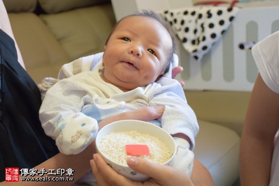 剃胎毛、滿月剃頭、嬰兒剃頭、嬰兒理髮、嬰兒剃髮、嬰兒剃胎毛、嬰兒滿月剃頭、寶寶剃頭、剃胎毛儀式、剃胎毛吉祥話、滿月剃頭儀式、滿月剃頭吉祥話、寶寶剃胎毛、寶寶滿月剃頭理髮、 新北市中和地區剃胎毛、新北市中和地區滿月剃頭、新北市中和地區嬰兒剃頭剃胎毛、新北市中和地區嬰兒理髮、新北市嬰兒剃髮、俞寶寶(新北中和區到府嬰兒寶寶滿月剃頭理髮、免費到府嬰兒剃胎毛儀式吉祥話)。到府剃頭剃胎毛主持、專業拍照、DVD光碟、證書。★購買「臍帶章、肚臍章、胎毛筆刷印章」贈送：剃頭、收涎、抓周，三選一。2017.09.26照片6
