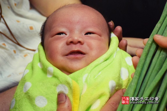 剃胎毛、滿月剃頭、嬰兒剃頭、嬰兒理髮、嬰兒剃髮、嬰兒剃胎毛、嬰兒滿月剃頭、寶寶剃頭、剃胎毛儀式、剃胎毛吉祥話、滿月剃頭儀式、滿月剃頭吉祥話、寶寶剃胎毛、寶寶滿月剃頭理髮、 台中大甲區剃胎毛、台中大甲區滿月剃頭、 台中大甲區嬰兒剃頭剃胎毛、台中大甲區嬰兒理髮、台中大甲區嬰兒剃髮、李寶寶(台中大甲區到府嬰兒寶寶滿月剃頭理髮、免費到府嬰兒剃胎毛儀式吉祥話)。到府剃頭剃胎毛主持、專業拍照、DVD光碟、證書。★購買「臍帶章、肚臍章、胎毛筆刷印章」贈送：剃頭、收涎、抓周，三選一。2016.12.17  照片12