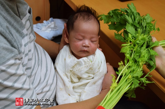 剃胎毛、滿月剃頭、嬰兒剃頭、嬰兒理髮、嬰兒剃髮、嬰兒剃胎毛、嬰兒滿月剃頭、寶寶剃頭、剃胎毛儀式、剃胎毛吉祥話、滿月剃頭儀式、滿月剃頭吉祥話、寶寶剃胎毛、寶寶滿月剃頭理髮、台中北區剃胎毛、台中北區滿月剃頭、台中北區嬰兒剃頭剃胎毛、台中北區嬰兒理髮、台中北區嬰兒剃髮、王寶寶(台中北區嬰兒寶寶滿月剃頭理髮、免費嬰兒剃胎毛儀式吉祥話)。中國風會場，爸媽寶貝免費穿「日中韓」古裝禮服。專業拍照、DVD光碟、證書。★購買「臍帶章、肚臍章、胎毛筆刷印章」贈送：剃頭、收涎、抓周，三選一。2016.09.13  照片9