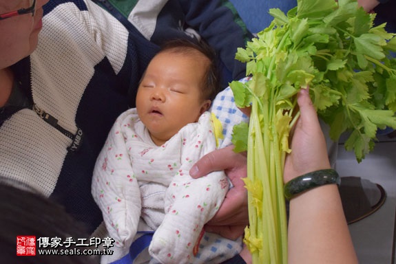 剃胎毛、滿月剃頭、嬰兒剃頭、嬰兒理髮、嬰兒剃髮、嬰兒剃胎毛、嬰兒滿月剃頭、寶寶剃頭、剃胎毛儀式、剃胎毛吉祥話、滿月剃頭儀式、滿月剃頭吉祥話、寶寶剃胎毛、寶寶滿月剃頭理髮、 台中西屯區剃胎毛、台中西屯區滿月剃頭、 台中西屯區嬰兒剃頭剃胎毛、台中西屯區嬰兒理髮、台中西屯區嬰兒剃髮、葉寶寶(台中西屯區到府嬰兒寶寶滿月剃頭理髮、免費到府嬰兒剃胎毛儀式吉祥話)。到府剃頭剃胎毛主持、專業拍照、DVD光碟、證書。★購買「臍帶章、肚臍章、胎毛筆刷印章」贈送：剃頭、收涎、抓周，三選一。2017.01.22  照片8