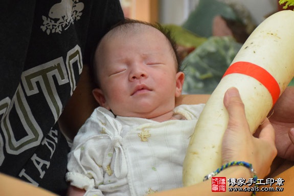 剃胎毛、滿月剃頭、嬰兒剃頭、嬰兒理髮、嬰兒剃髮、嬰兒剃胎毛、嬰兒滿月剃頭、寶寶剃頭、剃胎毛儀式、剃胎毛吉祥話、滿月剃頭儀式、滿月剃頭吉祥話、寶寶剃胎毛、寶寶滿月剃頭理髮、新北永和區剃胎毛、新北永和區滿月剃頭、新北永和區嬰兒剃頭剃胎毛、新北永和區嬰兒理髮、新北永和區嬰兒剃髮、小楊桃(新北永和區嬰兒寶寶滿月剃頭理髮、免費嬰兒剃胎毛儀式吉祥話)。中國風會場，爸媽寶貝免費穿「日中韓」古裝禮服。專業拍照、DVD光碟、證書。★購買「臍帶章、肚臍章、胎毛筆刷印章」贈送：剃頭、收涎、抓周，三選一。2016.07.20  照片13