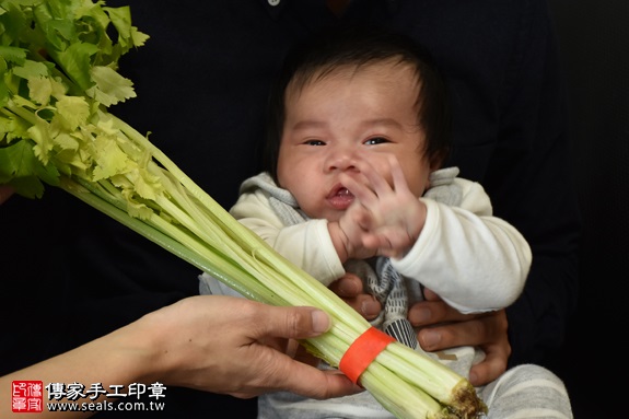 剃胎毛、滿月剃頭、嬰兒剃頭、嬰兒理髮、嬰兒剃髮、嬰兒剃胎毛、嬰兒滿月剃頭、寶寶剃頭、剃胎毛儀式、剃胎毛吉祥話、滿月剃頭儀式、滿月剃頭吉祥話、寶寶剃胎毛、寶寶滿月剃頭理髮、 新北中和區剃胎毛、新北中和區滿月剃頭、 新北中和區嬰兒剃頭剃胎毛、新北中和區嬰兒理髮、新北中和區嬰兒剃髮、王寶寶(新北中和區到府嬰兒寶寶滿月剃頭理髮、免費到府嬰兒剃胎毛儀式吉祥話)。到府剃頭剃胎毛主持、專業拍照、DVD光碟、證書。★購買「臍帶章、肚臍章、胎毛筆刷印章」贈送：剃頭、收涎、抓周，三選一。2017.01.14  照片11