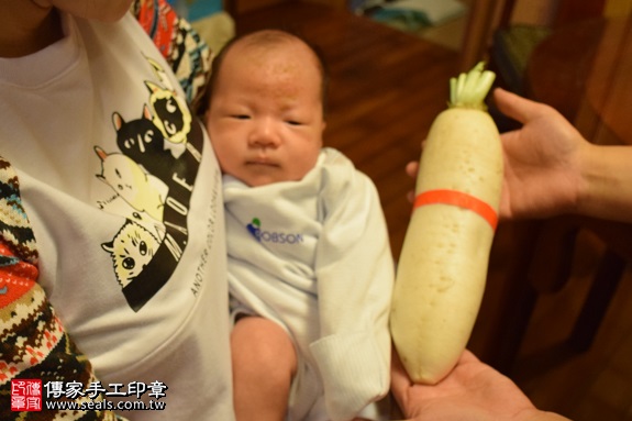 剃胎毛、滿月剃頭、嬰兒剃頭、嬰兒理髮、嬰兒剃髮、嬰兒剃胎毛、嬰兒滿月剃頭、寶寶剃頭、剃胎毛儀式、剃胎毛吉祥話、滿月剃頭儀式、滿月剃頭吉祥話、寶寶剃胎毛、寶寶滿月剃頭理髮、 新北永和區剃胎毛、新北永和區滿月剃頭、 新北永和區嬰兒剃頭剃胎毛、新北永和區嬰兒理髮、新北永和區嬰兒剃髮、郭寶寶(新北永和區到府嬰兒寶寶滿月剃頭理髮、免費到府嬰兒剃胎毛儀式吉祥話)。到府剃頭剃胎毛主持、專業拍照、DVD光碟、證書。★購買「臍帶章、肚臍章、胎毛筆刷印章」贈送：剃頭、收涎、抓周，三選一。2016.11.02  照片13