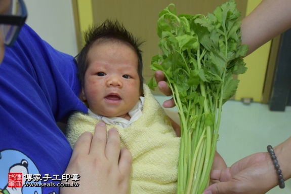 剃胎毛、滿月剃頭、嬰兒剃頭、嬰兒理髮、嬰兒剃髮、嬰兒剃胎毛、嬰兒滿月剃頭、寶寶剃頭、剃胎毛儀式、剃胎毛吉祥話、滿月剃頭儀式、滿月剃頭吉祥話、寶寶剃胎毛、寶寶滿月剃頭理髮、 新北新莊區剃胎毛、新北新莊區滿月剃頭、 新北新莊區嬰兒剃頭剃胎毛、新北新莊區嬰兒理髮、新北新莊區嬰兒剃髮、陳寶寶(新北新莊區到府嬰兒寶寶滿月剃頭理髮、免費到府嬰兒剃胎毛儀式吉祥話)。到府剃頭剃胎毛主持、專業拍照、DVD光碟、證書。★購買「臍帶章、肚臍章、胎毛筆刷印章」贈送：剃頭、收涎、抓周，三選一。2017.07.10  照片11