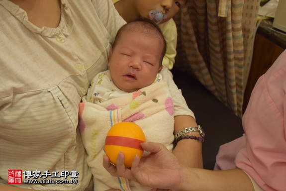 剃胎毛、滿月剃頭、嬰兒剃頭、嬰兒理髮、嬰兒剃髮、嬰兒剃胎毛、嬰兒滿月剃頭、寶寶剃頭、剃胎毛儀式、剃胎毛吉祥話、滿月剃頭儀式、滿月剃頭吉祥話、寶寶剃胎毛、寶寶滿月剃頭理髮、 新北市板橋地區剃胎毛、新北市板橋地區滿月剃頭、新北市板橋地區嬰兒剃頭剃胎毛、新北市板橋地區嬰兒理髮、新北市嬰兒剃髮、連寶寶(新北板橋區到府嬰兒寶寶滿月剃頭理髮、免費到府嬰兒剃胎毛儀式吉祥話)。到府剃頭剃胎毛主持、專業拍照、DVD光碟、證書。★購買「臍帶章、肚臍章、胎毛筆刷印章」贈送：剃頭、收涎、抓周，三選一。2017.11.21照片8