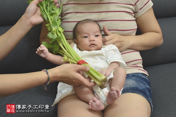 剃胎毛、滿月剃頭、嬰兒剃頭、嬰兒理髮、嬰兒剃髮、嬰兒剃胎毛、嬰兒滿月剃頭、寶寶剃頭、剃胎毛儀式、剃胎毛吉祥話、滿月剃頭儀式、滿月剃頭吉祥話、寶寶剃胎毛、寶寶滿月剃頭理髮、 新北新莊區剃胎毛、新北新莊區滿月剃頭、 新北新莊區嬰兒剃頭剃胎毛、新北新莊區嬰兒理髮、新北新莊區嬰兒剃髮、楊寶寶(新北新莊區到府嬰兒寶寶滿月剃頭理髮、免費到府嬰兒剃胎毛儀式吉祥話)。到府剃頭剃胎毛主持、專業拍照、DVD光碟、證書。★購買「臍帶章、肚臍章、胎毛筆刷印章」贈送：剃頭、收涎、抓周，三選一。2017.06.22  照片10