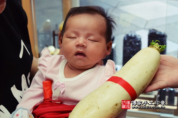 剃胎毛、滿月剃頭、嬰兒剃頭、嬰兒理髮、嬰兒剃髮、嬰兒剃胎毛、嬰兒滿月剃頭、寶寶剃頭、剃胎毛儀式、剃胎毛吉祥話、滿月剃頭儀式、滿月剃頭吉祥話、寶寶剃胎毛、寶寶滿月剃頭理髮、 台中市北區地區剃胎毛、台中市北區地區滿月剃頭、台中市北區地區嬰兒剃頭剃胎毛、台中市北區地區嬰兒理髮、台中市嬰兒剃髮、烏賊(台中市北區嬰兒寶寶滿月剃頭理髮、免費嬰兒剃胎毛儀式吉祥話)。中國風會場，爸媽寶貝免費穿「日中韓」古裝禮服。專業拍照、DVD光碟、證書。★購買「臍帶章、肚臍章、胎毛筆刷印章」贈送：剃頭、收涎、抓周，三選一。2017.09.16照片12