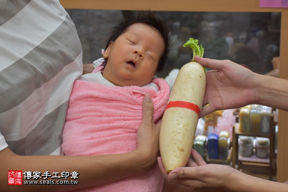 剃胎毛、滿月剃頭、嬰兒剃頭、嬰兒理髮、嬰兒剃髮、嬰兒剃胎毛、嬰兒滿月剃頭、寶寶剃頭、剃胎毛儀式、剃胎毛吉祥話、滿月剃頭儀式、滿月剃頭吉祥話、寶寶剃胎毛、寶寶滿月剃頭理髮、 新北市永和區剃胎毛、新北市永和區滿月剃頭、新北市永和區嬰兒剃頭剃胎毛、新北市永和區嬰兒理髮、新北市嬰兒剃髮、廖寶寶(新北永和區嬰兒寶寶滿月剃頭理髮、免費嬰兒剃胎毛儀式吉祥話)。中國風會場，爸媽寶貝免費穿「日中韓」古裝禮服。專業拍照、DVD光碟、證書。★購買「臍帶章、肚臍章、胎毛筆刷印章」贈送：剃頭、收涎、抓周，三選一。2017.10.15照片10