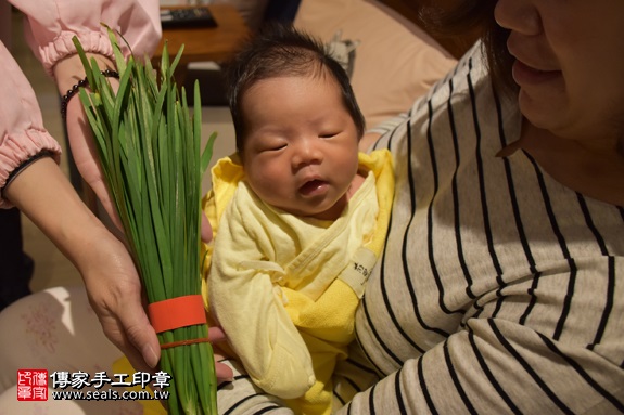 剃胎毛、滿月剃頭、嬰兒剃頭、嬰兒理髮、嬰兒剃髮、嬰兒剃胎毛、嬰兒滿月剃頭、寶寶剃頭、剃胎毛儀式、剃胎毛吉祥話、滿月剃頭儀式、滿月剃頭吉祥話、寶寶剃胎毛、寶寶滿月剃頭理髮、 台北松山區剃胎毛、台北松山區滿月剃頭、 台北松山區嬰兒剃頭剃胎毛、台北松山區嬰兒理髮、台北松山區嬰兒剃髮、林寶寶(台北松山區到府嬰兒寶寶滿月剃頭理髮、免費到府嬰兒剃胎毛儀式吉祥話)。到府剃頭剃胎毛主持、專業拍照、DVD光碟、證書。★購買「臍帶章、肚臍章、胎毛筆刷印章」贈送：剃頭、收涎、抓周，三選一。2017.02.22  照片12