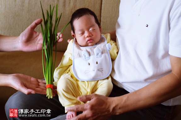 剃胎毛、滿月剃頭、嬰兒剃頭、嬰兒理髮、嬰兒剃髮、嬰兒剃胎毛、嬰兒滿月剃頭、寶寶剃頭、剃胎毛儀式、剃胎毛吉祥話、滿月剃頭儀式、滿月剃頭吉祥話、寶寶剃胎毛、寶寶滿月剃頭理髮、 台北萬華區剃胎毛、台北萬華區滿月剃頭、 台北萬華區嬰兒剃頭剃胎毛、台北萬華區嬰兒理髮、台北萬華區嬰兒剃髮、陳寶寶(台北萬華區到府嬰兒寶寶滿月剃頭理髮、免費到府嬰兒剃胎毛儀式吉祥話)。到府剃頭剃胎毛主持、專業拍照、DVD光碟、證書。★購買「臍帶章、肚臍章、胎毛筆刷印章」贈送：剃頭、收涎、抓周，三選一。2016.08.06  照片11