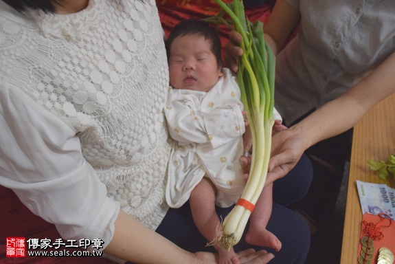 剃胎毛、滿月剃頭、嬰兒剃頭、嬰兒理髮、嬰兒剃髮、嬰兒剃胎毛、嬰兒滿月剃頭、寶寶剃頭、剃胎毛儀式、剃胎毛吉祥話、滿月剃頭儀式、滿月剃頭吉祥話、寶寶剃胎毛、寶寶滿月剃頭理髮、 台北大安區剃胎毛、台北大安區滿月剃頭、 台北大安區嬰兒剃頭剃胎毛、台北大安區嬰兒理髮、台北大安區嬰兒剃髮、林寶寶(台北大安區到府嬰兒寶寶滿月剃頭理髮、免費到府嬰兒剃胎毛儀式吉祥話)。到府剃頭剃胎毛主持、專業拍照、DVD光碟、證書。★購買「臍帶章、肚臍章、胎毛筆刷印章」贈送：剃頭、收涎、抓周，三選一。2017.06.04  照片11