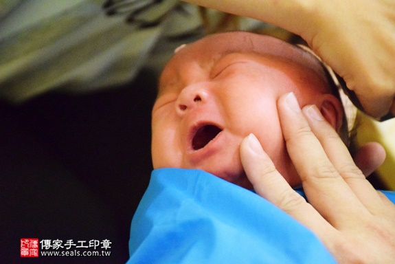 剃胎毛、滿月剃頭、嬰兒剃頭、嬰兒理髮、嬰兒剃髮、嬰兒剃胎毛、嬰兒滿月剃頭、寶寶剃頭、剃胎毛儀式、剃胎毛吉祥話、滿月剃頭儀式、滿月剃頭吉祥話、寶寶剃胎毛、寶寶滿月剃頭理髮、 台中西屯區剃胎毛、台中西屯區滿月剃頭、 台中西屯區嬰兒剃頭剃胎毛、台中西屯區嬰兒理髮、台中西屯區嬰兒剃髮、劉寶寶(台中西屯區到府嬰兒寶寶滿月剃頭理髮、免費到府嬰兒剃胎毛儀式吉祥話)。到府剃頭剃胎毛主持、專業拍照、DVD光碟、證書。★購買「臍帶章、肚臍章、胎毛筆刷印章」贈送：剃頭、收涎、抓周，三選一。2016.07.20  照片14