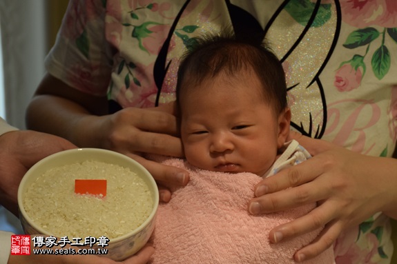 剃胎毛、滿月剃頭、嬰兒剃頭、嬰兒理髮、嬰兒剃髮、嬰兒剃胎毛、嬰兒滿月剃頭、寶寶剃頭、剃胎毛儀式、剃胎毛吉祥話、滿月剃頭儀式、滿月剃頭吉祥話、寶寶剃胎毛、寶寶滿月剃頭理髮、 新北市林口地區剃胎毛、新北市林口地區滿月剃頭、新北市林口地區嬰兒剃頭剃胎毛、新北市林口地區嬰兒理髮、新北市嬰兒剃髮、 黃寶寶(新北林口區到府嬰兒寶寶滿月剃頭理髮、免費到府嬰兒剃胎毛儀式吉祥話)。到府剃頭剃胎毛主持、專業拍照、DVD光碟、證書。★購買「臍帶章、肚臍章、胎毛筆刷印章」贈送：剃頭、收涎、抓周，三選一。2017.08.10照片6