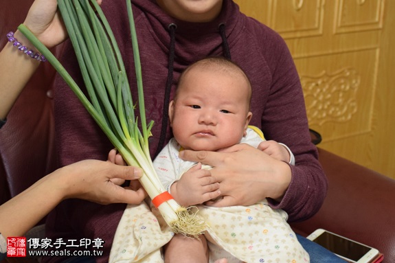 剃胎毛、滿月剃頭、嬰兒剃頭、嬰兒理髮、嬰兒剃髮、嬰兒剃胎毛、嬰兒滿月剃頭、寶寶剃頭、剃胎毛儀式、剃胎毛吉祥話、滿月剃頭儀式、滿月剃頭吉祥話、寶寶剃胎毛、寶寶滿月剃頭理髮、 新北中和區剃胎毛、新北中和區滿月剃頭、 新北中和區嬰兒剃頭剃胎毛、新北中和區嬰兒理髮、新北中和區嬰兒剃髮、張寶寶(新北中和區到府嬰兒寶寶滿月剃頭理髮、免費到府嬰兒剃胎毛儀式吉祥話)。到府剃頭剃胎毛主持、專業拍照、DVD光碟、證書。★購買「臍帶章、肚臍章、胎毛筆刷印章」贈送：剃頭、收涎、抓周，三選一。2016.11.11  照片12