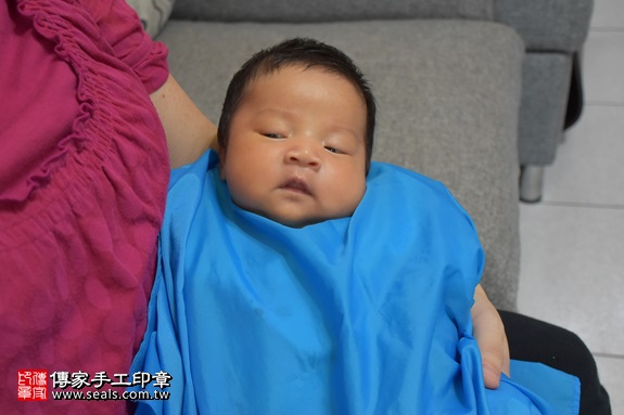 剃胎毛、滿月剃頭、嬰兒剃頭、嬰兒理髮、嬰兒剃髮、嬰兒剃胎毛、嬰兒滿月剃頭、寶寶剃頭、剃胎毛儀式、剃胎毛吉祥話、滿月剃頭儀式、滿月剃頭吉祥話、寶寶剃胎毛、寶寶滿月剃頭理髮、 新北三峽區剃胎毛、新北三峽區滿月剃頭、 新北三峽區嬰兒剃頭剃胎毛、新北三峽區嬰兒理髮、新北三峽區嬰兒剃髮、吳寶寶(新北三峽區到府嬰兒寶寶滿月剃頭理髮、免費到府嬰兒剃胎毛儀式吉祥話)。到府剃頭剃胎毛主持、專業拍照、DVD光碟、證書。★購買「臍帶章、肚臍章、胎毛筆刷印章」贈送：剃頭、收涎、抓周，三選一。2017.07.04  照片16