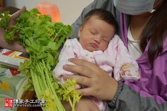 剃胎毛、滿月剃頭、嬰兒剃頭、嬰兒理髮、嬰兒剃髮、嬰兒剃胎毛、嬰兒滿月剃頭、寶寶剃頭、剃胎毛儀式、剃胎毛吉祥話、滿月剃頭儀式、滿月剃頭吉祥話、寶寶剃胎毛、寶寶滿月剃頭理髮、 台北文山區剃胎毛、台北文山區滿月剃頭、 台北文山區嬰兒剃頭剃胎毛、台北文山區嬰兒理髮、台北文山區嬰兒剃髮、余寶寶(台北文山區到府嬰兒寶寶滿月剃頭理髮、免費到府嬰兒剃胎毛儀式吉祥話)。到府剃頭剃胎毛主持、專業拍照、DVD光碟、證書。★購買「臍帶章、肚臍章、胎毛筆刷印章」贈送：剃頭、收涎、抓周，三選一。2017.04.11  照片9