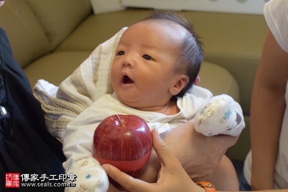 剃胎毛、滿月剃頭、嬰兒剃頭、嬰兒理髮、嬰兒剃髮、嬰兒剃胎毛、嬰兒滿月剃頭、寶寶剃頭、剃胎毛儀式、剃胎毛吉祥話、滿月剃頭儀式、滿月剃頭吉祥話、寶寶剃胎毛、寶寶滿月剃頭理髮、 新北市中和地區剃胎毛、新北市中和地區滿月剃頭、新北市中和地區嬰兒剃頭剃胎毛、新北市中和地區嬰兒理髮、新北市嬰兒剃髮、俞寶寶(新北中和區到府嬰兒寶寶滿月剃頭理髮、免費到府嬰兒剃胎毛儀式吉祥話)。到府剃頭剃胎毛主持、專業拍照、DVD光碟、證書。★購買「臍帶章、肚臍章、胎毛筆刷印章」贈送：剃頭、收涎、抓周，三選一。2017.09.26照片8