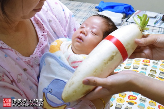 剃胎毛、滿月剃頭、嬰兒剃頭、嬰兒理髮、嬰兒剃髮、嬰兒剃胎毛、嬰兒滿月剃頭、寶寶剃頭、剃胎毛儀式、剃胎毛吉祥話、滿月剃頭儀式、滿月剃頭吉祥話、寶寶剃胎毛、寶寶滿月剃頭理髮、 高雄市前金地區剃胎毛、高雄市前金地區滿月剃頭、高雄市前金地區嬰兒剃頭剃胎毛、高雄市前金地區嬰兒理髮、高雄市嬰兒剃髮、鍾寶寶們(高雄前金區府嬰兒寶寶滿月剃頭理髮、免費到府嬰兒剃胎毛儀式吉祥話)。到府剃頭剃胎毛主持、專業拍照、DVD光碟、證書。★購買「臍帶章、肚臍章、胎毛筆刷印章」贈送：剃頭、收涎、抓周，三選一。2017.09.20照片16