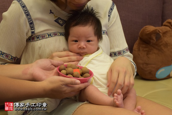 剃胎毛、滿月剃頭、嬰兒剃頭、嬰兒理髮、嬰兒剃髮、嬰兒剃胎毛、嬰兒滿月剃頭、寶寶剃頭、剃胎毛儀式、剃胎毛吉祥話、滿月剃頭儀式、滿月剃頭吉祥話、寶寶剃胎毛、寶寶滿月剃頭理髮、 新北市中和地區剃胎毛、新北市中和地區滿月剃頭、新北市中和地區嬰兒剃頭剃胎毛、新北市中和地區嬰兒理髮、新北市嬰兒剃髮、豆寶(新北中和區到府嬰兒寶寶滿月剃頭理髮、免費到府嬰兒剃胎毛儀式吉祥話)。到府剃頭剃胎毛主持、專業拍照、DVD光碟、證書。★購買「臍帶章、肚臍章、胎毛筆刷印章」贈送：剃頭、收涎、抓周，三選一。2017.10.03照片7