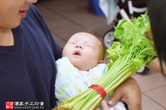 剃胎毛、滿月剃頭、嬰兒剃頭、嬰兒理髮、嬰兒剃髮、嬰兒剃胎毛、嬰兒滿月剃頭、寶寶剃頭、剃胎毛儀式、剃胎毛吉祥話、滿月剃頭儀式、滿月剃頭吉祥話、寶寶剃胎毛、寶寶滿月剃頭理髮、 苗栗公館鄉剃胎毛、苗栗公館鄉滿月剃頭、 苗栗公館鄉嬰兒剃頭剃胎毛、苗栗公館鄉嬰兒理髮、苗栗公館鄉嬰兒剃髮、張寶寶(苗栗公館鄉到府嬰兒寶寶滿月剃頭理髮、免費到府嬰兒剃胎毛儀式吉祥話)。到府剃頭剃胎毛主持、專業拍照、DVD光碟、證書。★購買「臍帶章、肚臍章、胎毛筆刷印章」贈送：剃頭、收涎、抓周，三選一。2016.08.28  照片9