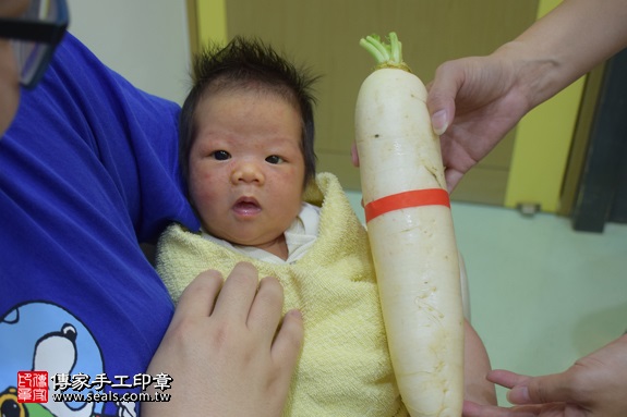 剃胎毛、滿月剃頭、嬰兒剃頭、嬰兒理髮、嬰兒剃髮、嬰兒剃胎毛、嬰兒滿月剃頭、寶寶剃頭、剃胎毛儀式、剃胎毛吉祥話、滿月剃頭儀式、滿月剃頭吉祥話、寶寶剃胎毛、寶寶滿月剃頭理髮、 新北新莊區剃胎毛、新北新莊區滿月剃頭、 新北新莊區嬰兒剃頭剃胎毛、新北新莊區嬰兒理髮、新北新莊區嬰兒剃髮、陳寶寶(新北新莊區到府嬰兒寶寶滿月剃頭理髮、免費到府嬰兒剃胎毛儀式吉祥話)。到府剃頭剃胎毛主持、專業拍照、DVD光碟、證書。★購買「臍帶章、肚臍章、胎毛筆刷印章」贈送：剃頭、收涎、抓周，三選一。2017.07.10  照片13