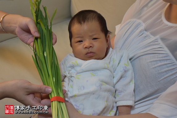 剃胎毛、滿月剃頭、嬰兒剃頭、嬰兒理髮、嬰兒剃髮、嬰兒剃胎毛、嬰兒滿月剃頭、寶寶剃頭、剃胎毛儀式、剃胎毛吉祥話、滿月剃頭儀式、滿月剃頭吉祥話、寶寶剃胎毛、寶寶滿月剃頭理髮、 新北市土城地區剃胎毛、新北市土城地區滿月剃頭、新北市土城地區嬰兒剃頭剃胎毛、新北市土城地區嬰兒理髮、新北市嬰兒剃髮、 楊寶寶(新北土城區到府嬰兒寶寶滿月剃頭理髮、免費到府嬰兒剃胎毛儀式吉祥話)。到府剃頭剃胎毛主持、專業拍照、DVD光碟、證書。★購買「臍帶章、肚臍章、胎毛筆刷印章」贈送：剃頭、收涎、抓周，三選一。2017.08.12照片14