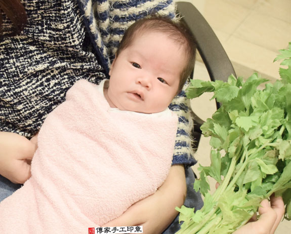 蔡寶寶(新北中和區到府嬰兒寶寶滿月剃頭理髮、免費到府嬰兒剃胎毛儀式吉祥話)。到府剃頭剃胎毛主持、專業拍照、DVD光碟、證書。★購買「臍帶章、肚臍章、胎毛筆刷印章」贈送：剃頭、收涎、抓周，三選一。2015.11.04 照片10