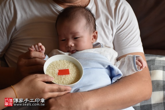 剃胎毛、滿月剃頭、嬰兒剃頭、嬰兒理髮、嬰兒剃髮、嬰兒剃胎毛、嬰兒滿月剃頭、寶寶剃頭、剃胎毛儀式、剃胎毛吉祥話、滿月剃頭儀式、滿月剃頭吉祥話、寶寶剃胎毛、寶寶滿月剃頭理髮、 新北板橋區剃胎毛、新北板橋區滿月剃頭、 新北板橋區嬰兒剃頭剃胎毛、新北板橋區嬰兒理髮、新北板橋區嬰兒剃髮、張寶寶(新北板橋區到府嬰兒寶寶滿月剃頭理髮、免費到府嬰兒剃胎毛儀式吉祥話)。到府剃頭剃胎毛主持、專業拍照、DVD光碟、證書。★購買「臍帶章、肚臍章、胎毛筆刷印章」贈送：剃頭、收涎、抓周，三選一。2017.05.11  照片6