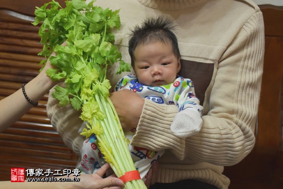 剃胎毛、滿月剃頭、嬰兒剃頭、嬰兒理髮、嬰兒剃髮、嬰兒剃胎毛、嬰兒滿月剃頭、寶寶剃頭、剃胎毛儀式、剃胎毛吉祥話、滿月剃頭儀式、滿月剃頭吉祥話、寶寶剃胎毛、寶寶滿月剃頭理髮、 桃園龜山區剃胎毛、桃園龜山區滿月剃頭、 桃園龜山區嬰兒剃頭剃胎毛、桃園龜山區嬰兒理髮、桃園龜山區嬰兒剃髮、張寶寶(桃園龜山區到府嬰兒寶寶滿月剃頭理髮、免費到府嬰兒剃胎毛儀式吉祥話)。到府剃頭剃胎毛主持、專業拍照、DVD光碟、證書。★購買「臍帶章、肚臍章、胎毛筆刷印章」贈送：剃頭、收涎、抓周，三選一。2017.02.18  照片11