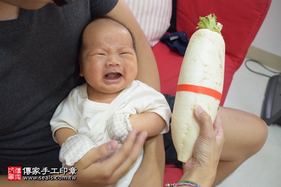 剃胎毛、滿月剃頭、嬰兒剃頭、嬰兒理髮、嬰兒剃髮、嬰兒剃胎毛、嬰兒滿月剃頭、寶寶剃頭、剃胎毛儀式、剃胎毛吉祥話、滿月剃頭儀式、滿月剃頭吉祥話、寶寶剃胎毛、寶寶滿月剃頭理髮、 新北市淡水地區剃胎毛、新北市淡水地區滿月剃頭、新北市淡水地區嬰兒剃頭剃胎毛、新北市淡水地區嬰兒理髮、新北市嬰兒剃髮、 張寶寶(新北淡水區到府嬰兒寶寶滿月剃頭理髮、免費到府嬰兒剃胎毛儀式吉祥話)。到府剃頭剃胎毛主持、專業拍照、DVD光碟、證書。★購買「臍帶章、肚臍章、胎毛筆刷印章」贈送：剃頭、收涎、抓周，三選一。2017.08.29照片14