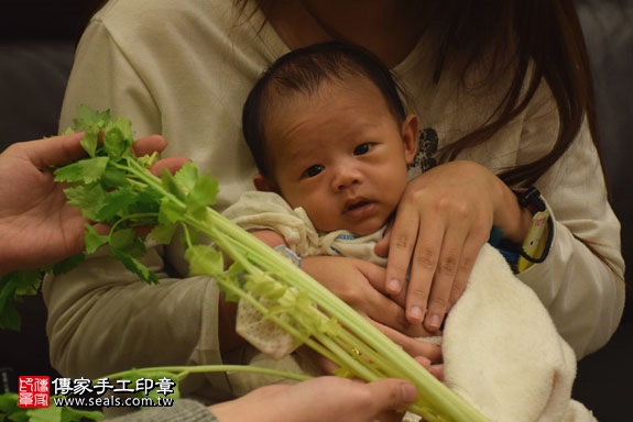 剃胎毛、滿月剃頭、嬰兒剃頭、嬰兒理髮、嬰兒剃髮、嬰兒剃胎毛、嬰兒滿月剃頭、寶寶剃頭、剃胎毛儀式、剃胎毛吉祥話、滿月剃頭儀式、滿月剃頭吉祥話、寶寶剃胎毛、寶寶滿月剃頭理髮、 新北新莊區剃胎毛、新北新莊區滿月剃頭、 新北新莊區嬰兒剃頭剃胎毛、新北新莊區嬰兒理髮、新北新莊區嬰兒剃髮、張寶寶(新北新莊區到府嬰兒寶寶滿月剃頭理髮、免費到府嬰兒剃胎毛儀式吉祥話)。到府剃頭剃胎毛主持、專業拍照、DVD光碟、證書。★購買「臍帶章、肚臍章、胎毛筆刷印章」贈送：剃頭、收涎、抓周，三選一。2017.02.09  照片9