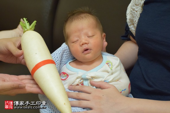 剃胎毛、滿月剃頭、嬰兒剃頭、嬰兒理髮、嬰兒剃髮、嬰兒剃胎毛、嬰兒滿月剃頭、寶寶剃頭、剃胎毛儀式、剃胎毛吉祥話、滿月剃頭儀式、滿月剃頭吉祥話、寶寶剃胎毛、寶寶滿月剃頭理髮、 新北市新莊地區剃胎毛、新北市新莊地區滿月剃頭、新北市新莊地區嬰兒剃頭剃胎毛、新北市新莊地區嬰兒理髮、新北市嬰兒剃髮、盧寶寶(新北新莊區到府嬰兒寶寶滿月剃頭理髮、免費到府嬰兒剃胎毛儀式吉祥話)。到府剃頭剃胎毛主持、專業拍照、DVD光碟、證書。★購買「臍帶章、肚臍章、胎毛筆刷印章」贈送：剃頭、收涎、抓周，三選一。2017.09.10照片11