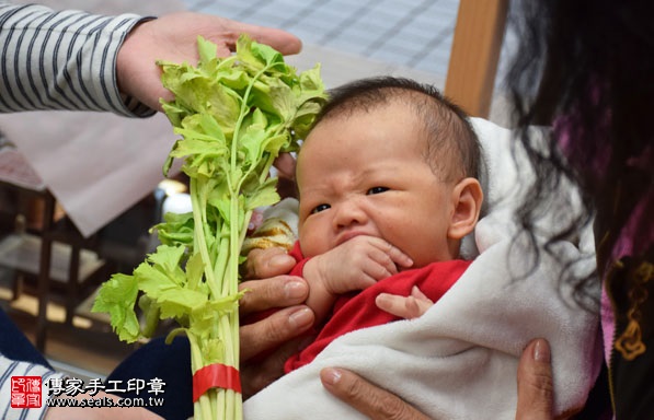 剃胎毛、滿月剃頭、嬰兒剃頭、嬰兒理髮、嬰兒剃髮、嬰兒剃胎毛、嬰兒滿月剃頭、寶寶剃頭、剃胎毛儀式、剃胎毛吉祥話、滿月剃頭儀式、滿月剃頭吉祥話、寶寶剃胎毛、寶寶滿月剃頭理髮、新竹香山區剃胎毛、新竹香山區滿月剃頭、新竹香山區嬰兒剃頭剃胎毛、新竹香山區嬰兒理髮、新竹香山區嬰兒剃髮、林寶寶(新竹香山區嬰兒寶寶滿月剃頭理髮、免費嬰兒剃胎毛儀式吉祥話)。中國風會場，爸媽寶貝免費穿「日中韓」古裝禮服。專業拍照、DVD光碟、證書。★購買「臍帶章、肚臍章、胎毛筆刷印章」贈送：剃頭、收涎、抓周，三選一。2017.01.01 照片12