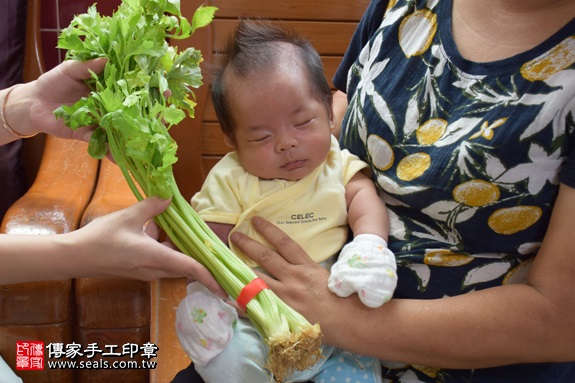 剃胎毛、滿月剃頭、嬰兒剃頭、嬰兒理髮、嬰兒剃髮、嬰兒剃胎毛、嬰兒滿月剃頭、寶寶剃頭、剃胎毛儀式、剃胎毛吉祥話、滿月剃頭儀式、滿月剃頭吉祥話、寶寶剃胎毛、寶寶滿月剃頭理髮、 新北永和區剃胎毛、新北永和區滿月剃頭、 新北永和區嬰兒剃頭剃胎毛、新北永和區嬰兒理髮、新北永和區嬰兒剃髮、王寶寶(新北永和區到府嬰兒寶寶滿月剃頭理髮、免費到府嬰兒剃胎毛儀式吉祥話)。到府剃頭剃胎毛主持、專業拍照、DVD光碟、證書。★購買「臍帶章、肚臍章、胎毛筆刷印章」贈送：剃頭、收涎、抓周，三選一。2017.06.26  照片11