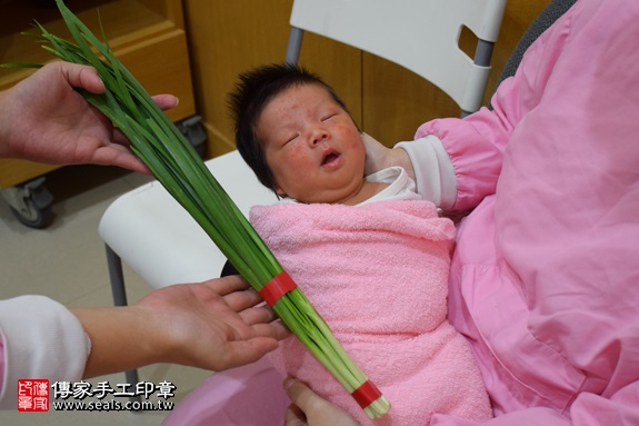 剃胎毛、滿月剃頭、嬰兒剃頭、嬰兒理髮、嬰兒剃髮、嬰兒剃胎毛、嬰兒滿月剃頭、寶寶剃頭、剃胎毛儀式、剃胎毛吉祥話、滿月剃頭儀式、滿月剃頭吉祥話、寶寶剃胎毛、寶寶滿月剃頭理髮、 新北市中和地區剃胎毛、新北市中和地區滿月剃頭、新北市中和地區嬰兒剃頭剃胎毛、新北市中和地區嬰兒理髮、新北市嬰兒剃髮、潘寶寶(新北中和區府嬰兒寶寶滿月剃頭理髮、免費到府嬰兒剃胎毛儀式吉祥話)。到府剃頭剃胎毛主持、專業拍照、DVD光碟、證書。★購買「臍帶章、肚臍章、胎毛筆刷印章」贈送：剃頭、收涎、抓周，三選一。2017.09.12照片13
