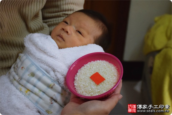 剃胎毛、滿月剃頭、嬰兒剃頭、嬰兒理髮、嬰兒剃髮、嬰兒剃胎毛、嬰兒滿月剃頭、寶寶剃頭、剃胎毛儀式、剃胎毛吉祥話、滿月剃頭儀式、滿月剃頭吉祥話、寶寶剃胎毛、寶寶滿月剃頭理髮、 桃園八德區剃胎毛、桃園八德區滿月剃頭、 桃園八德區嬰兒剃頭剃胎毛、桃園八德區嬰兒理髮、桃園八德區嬰兒剃髮、丁寶寶(桃園八德區到府嬰兒寶寶滿月剃頭理髮、免費到府嬰兒剃胎毛儀式吉祥話)。到府剃頭剃胎毛主持、專業拍照、DVD光碟、證書。★購買「臍帶章、肚臍章、胎毛筆刷印章」贈送：剃頭、收涎、抓周，三選一。2016.12.16  照片6