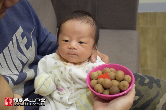 剃胎毛、滿月剃頭、嬰兒剃頭、嬰兒理髮、嬰兒剃髮、嬰兒剃胎毛、嬰兒滿月剃頭、寶寶剃頭、剃胎毛儀式、剃胎毛吉祥話、滿月剃頭儀式、滿月剃頭吉祥話、寶寶剃胎毛、寶寶滿月剃頭理髮、 新北市中和地區剃胎毛、新北市中和地區滿月剃頭、新北市中和地區嬰兒剃頭剃胎毛、新北市中和地區嬰兒理髮新北市嬰兒剃髮、張寶寶(新北中和區到府嬰兒寶寶滿月剃頭理髮、免費到府嬰兒剃胎毛儀式吉祥話)。到府剃頭剃胎毛主持、專業拍照、DVD光碟、證書。★購買「臍帶章、肚臍章、胎毛筆刷印章」贈送：剃頭、收涎、抓周，三選一。2017.12.20照片7